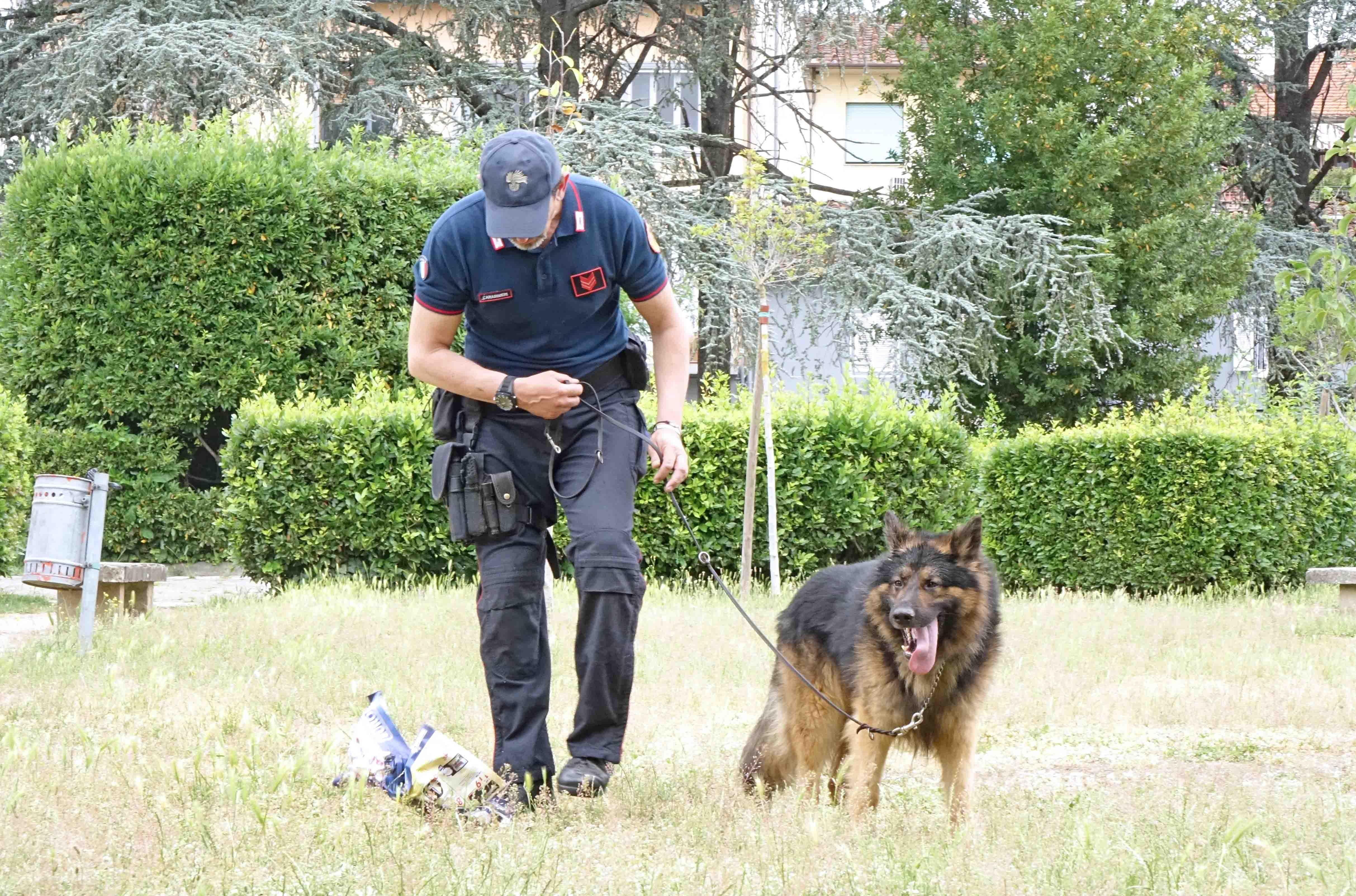 Controlli anti-droga ub ouazza della Resistenza (foto d'archivio)