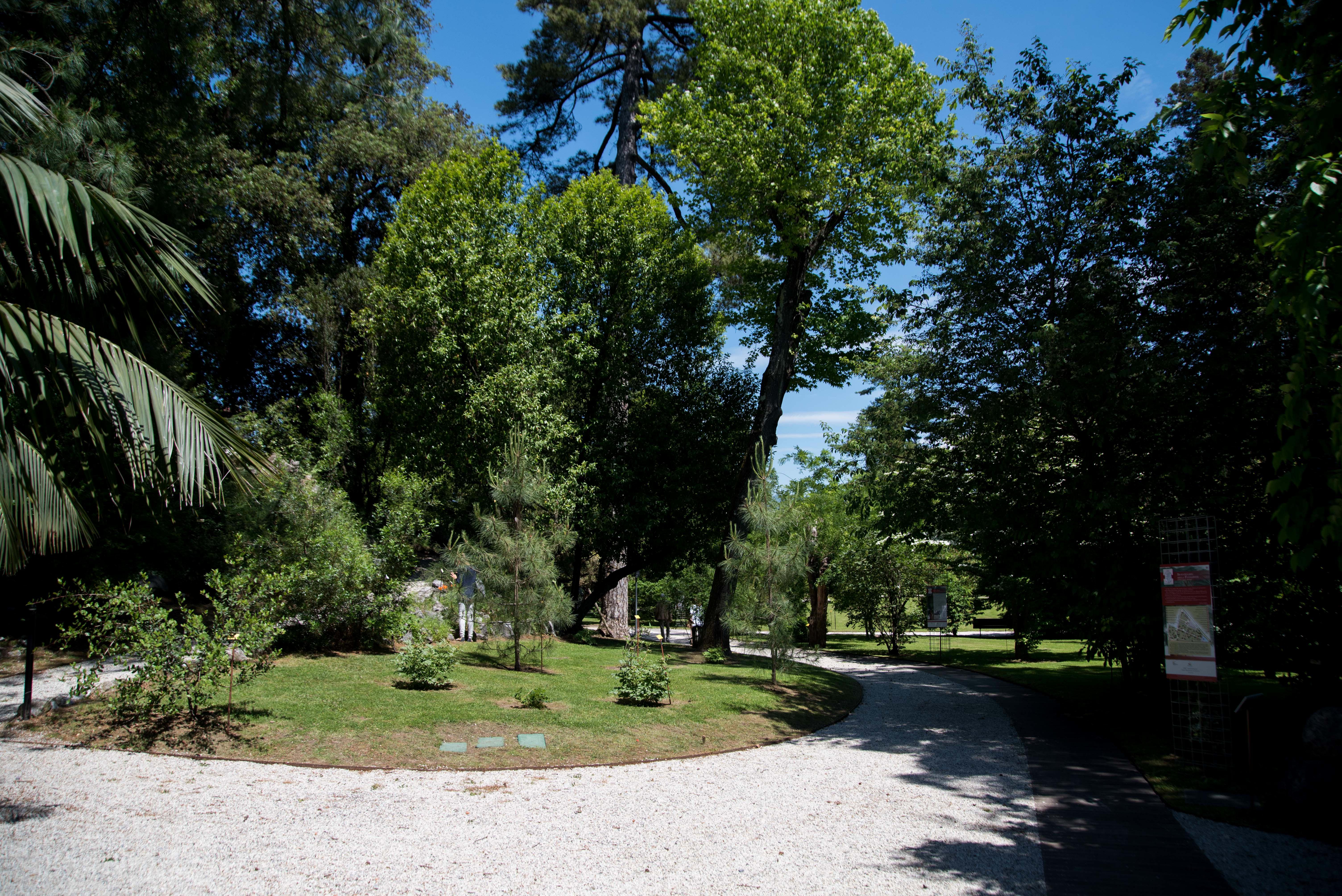 Uno scorcio dell'Orto botanico di Lucca (Ilaria Genovesi)