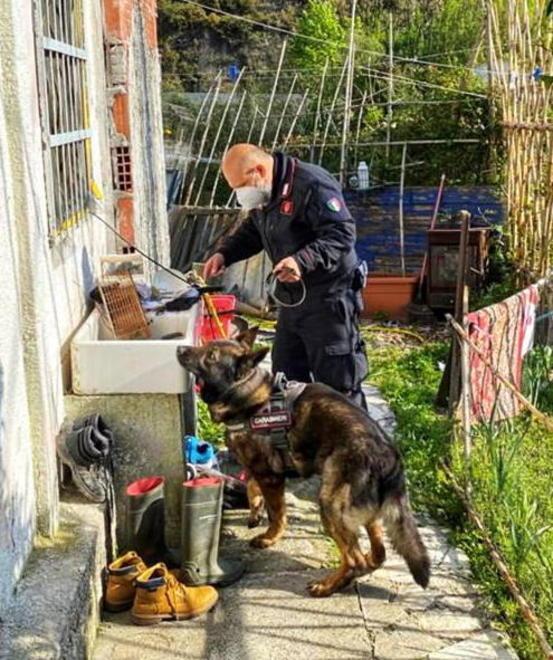 Nascondeva la droga sottoterra: arrestato 