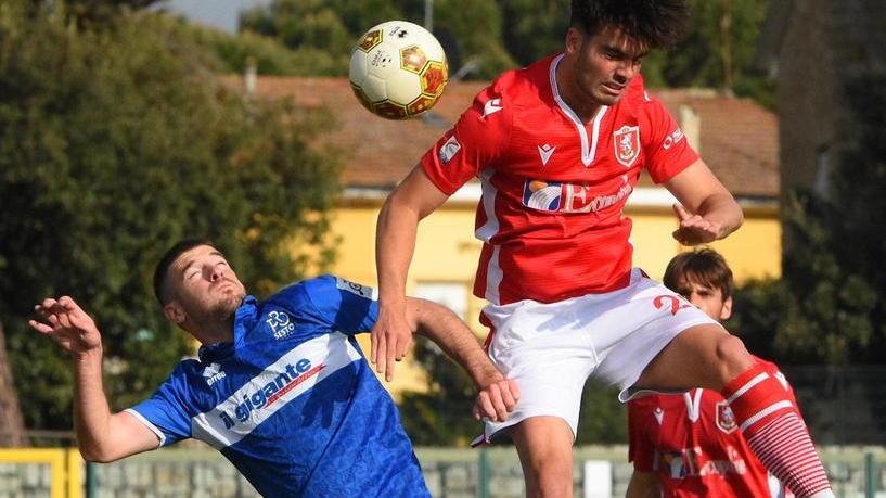 Il Grifone tenta l’assalto al campo della Pistoiese