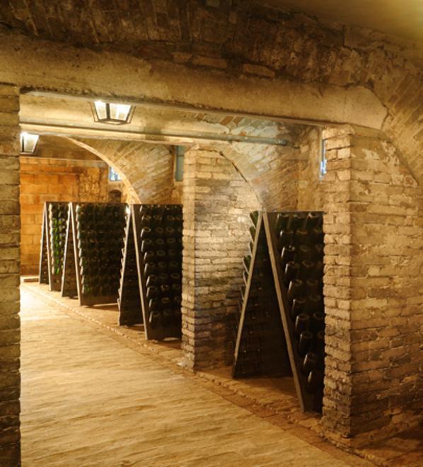 Venturini Baldini lancia una Spergola e un’altra etichetta di Lambrusco 