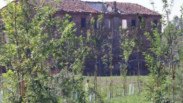 È pronto “Air break” Ferrara città “verde” con 2.000 nuovi alberi