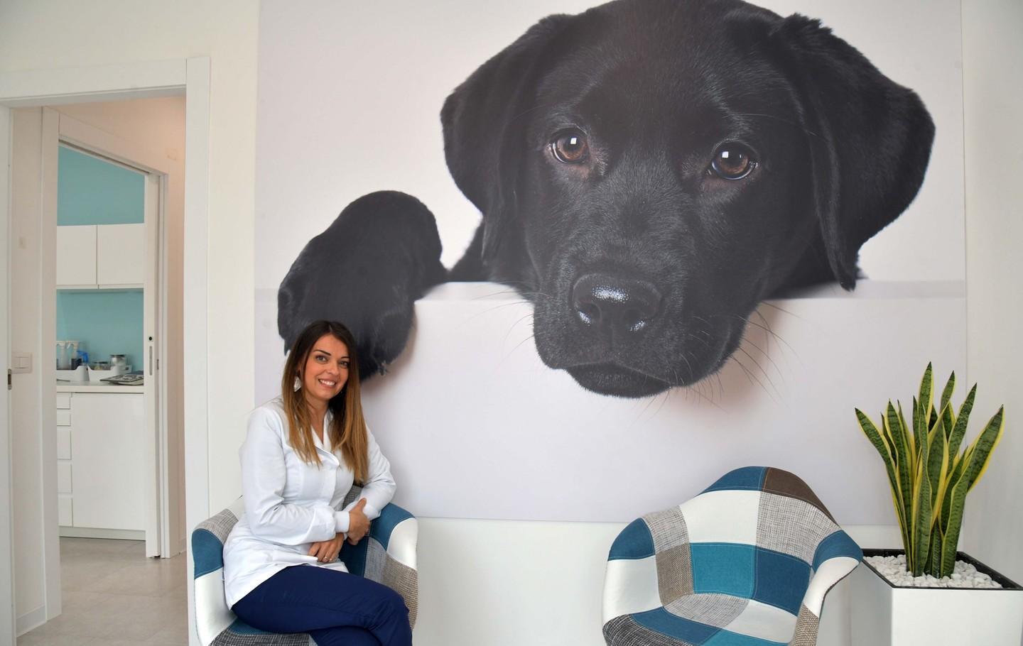 “My vet” dalla parte degli animali domestici 