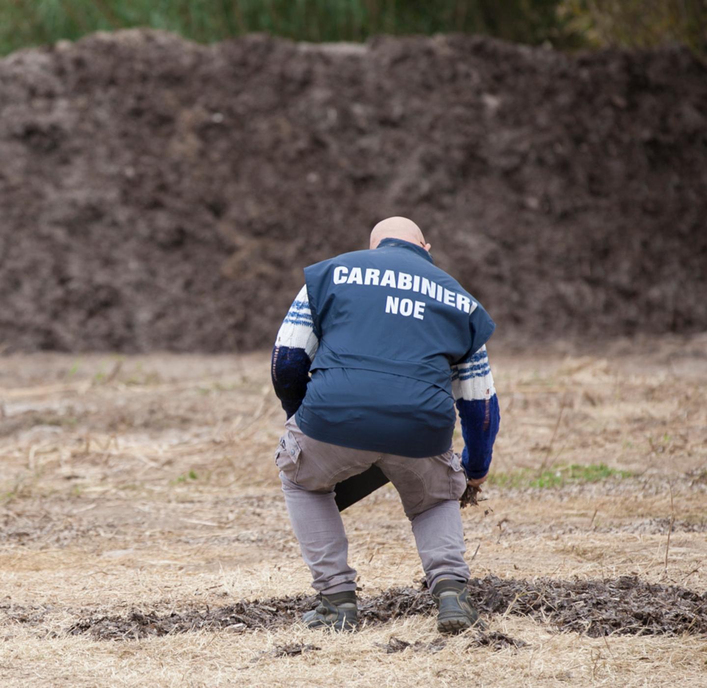 Sulla posidonia ora cresce l’erba 