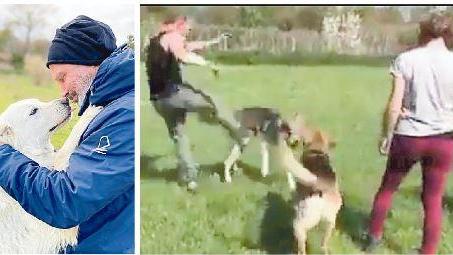 Sopra, Claudio Mangini con uno dei suoi cani; accanto il frame del video che ha suscitato la denuncia