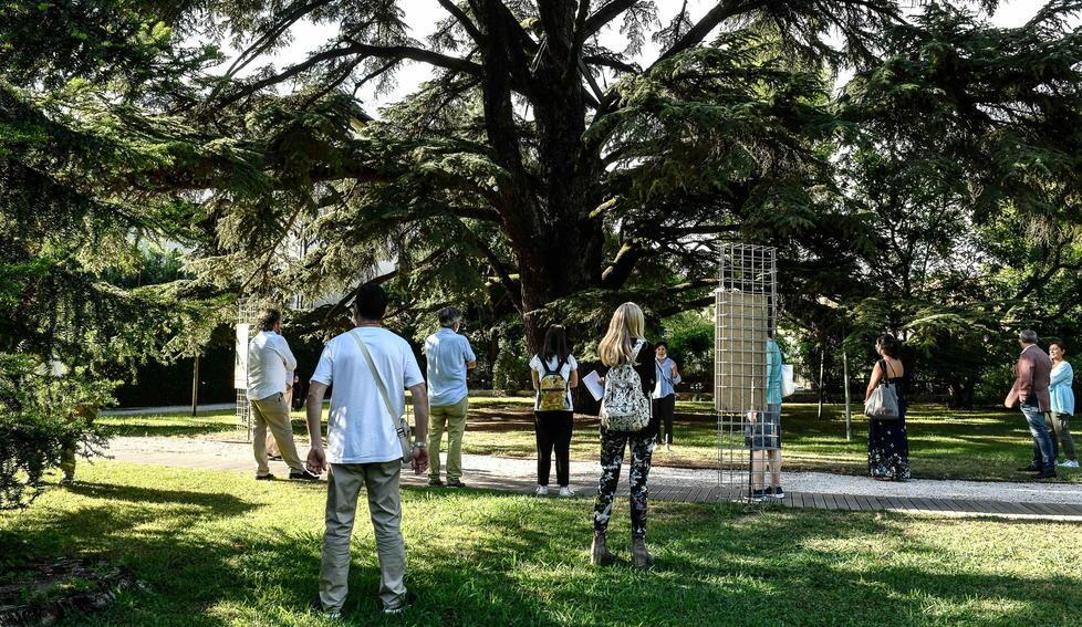Riaprono l’Orto botanico e la Torre Guinigi nel giorno di Santa Zita