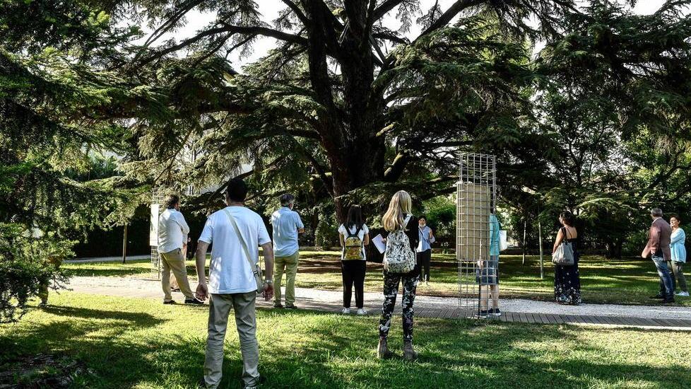 Riaprono l’Orto botanico e la Torre Guinigi nel giorno di Santa Zita