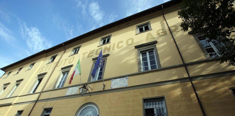 Tutto sui porcini e i funghi affini con seminario web 