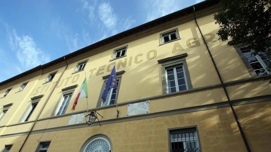 Tutto sui porcini e i funghi affini con seminario web