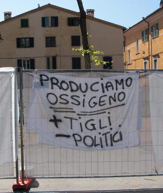 Accordo tra Comune e manifestanti «Salvati dieci alberi in piazza Statuto» 
