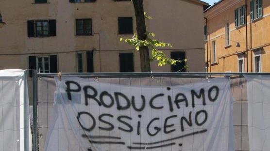 Accordo tra Comune e manifestanti «Salvati dieci alberi in piazza Statuto»