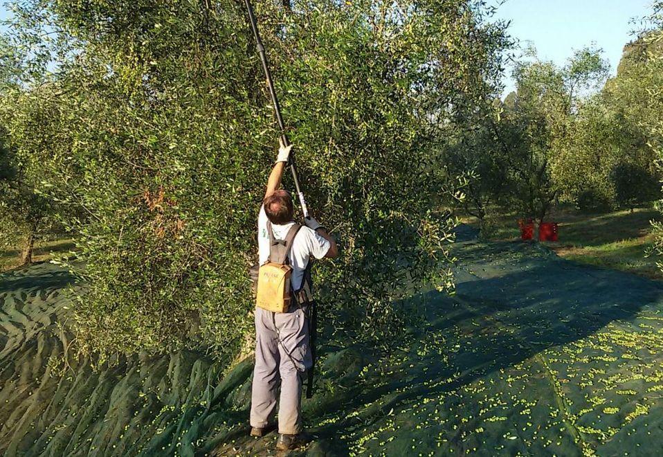 Formazione per i detenuti Al via “Orti in carcere”