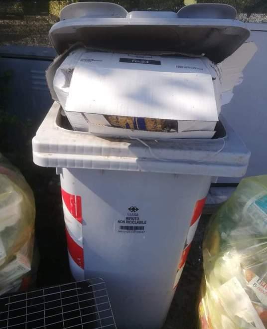 Cibo donato buttato via Cittadini indignati