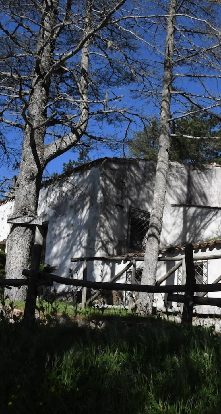 Chiesetta del Monte una convenzione per l’area boschiva 