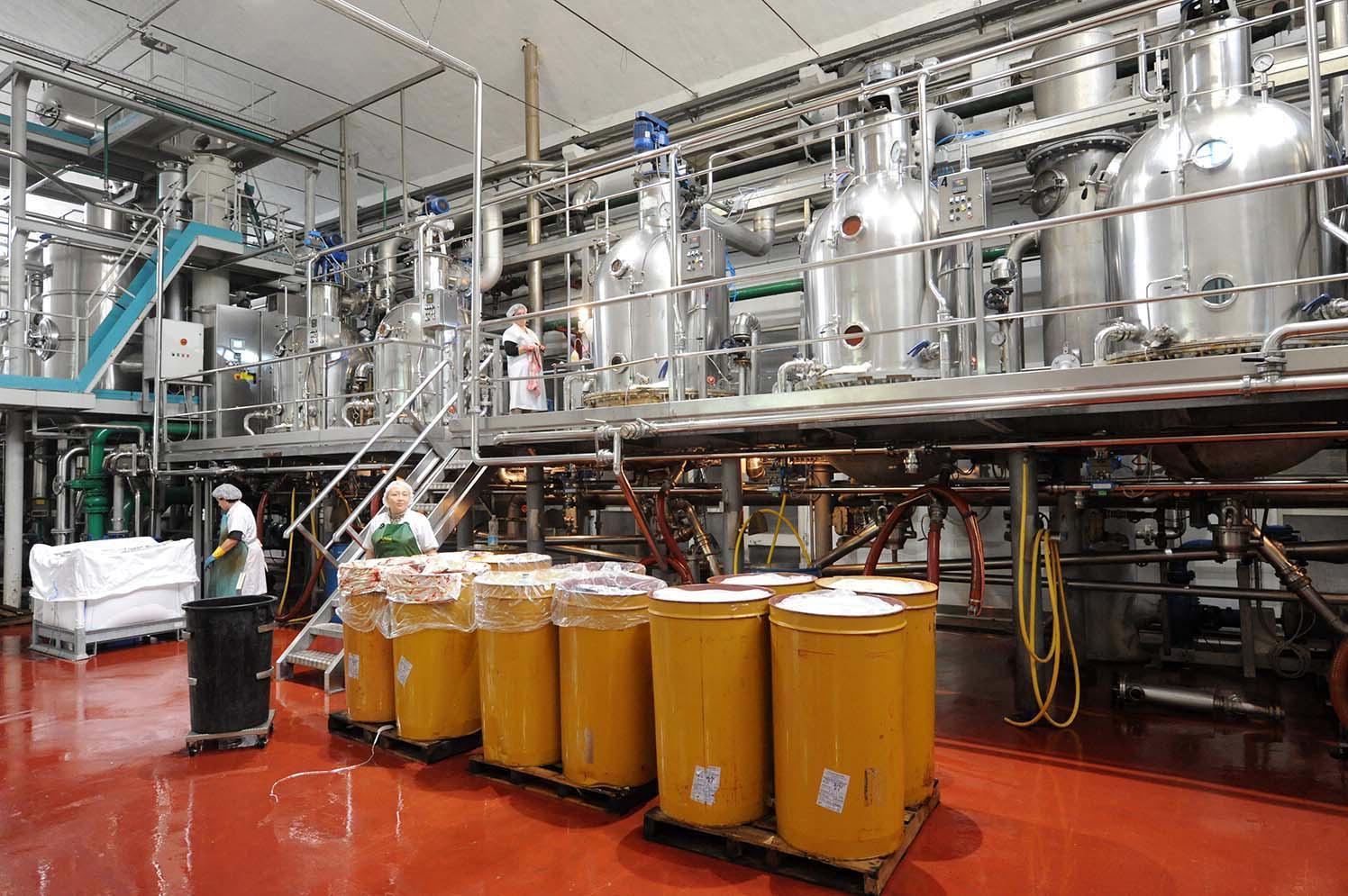 Pomodoro al 100% toscano, ma il prodotto arrivava da paesi extra Ue: maxi sequestro all'Italian Food 