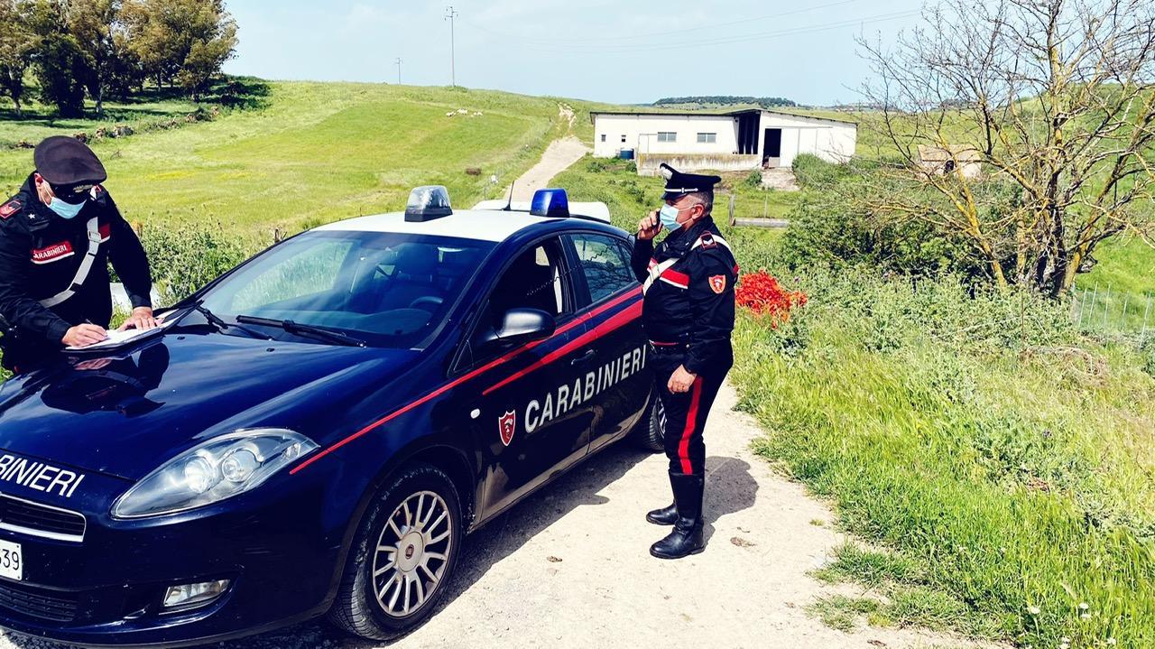 Oschiri, ferisce il collega con le forbici per la tosatura: l'aggressore confessa
