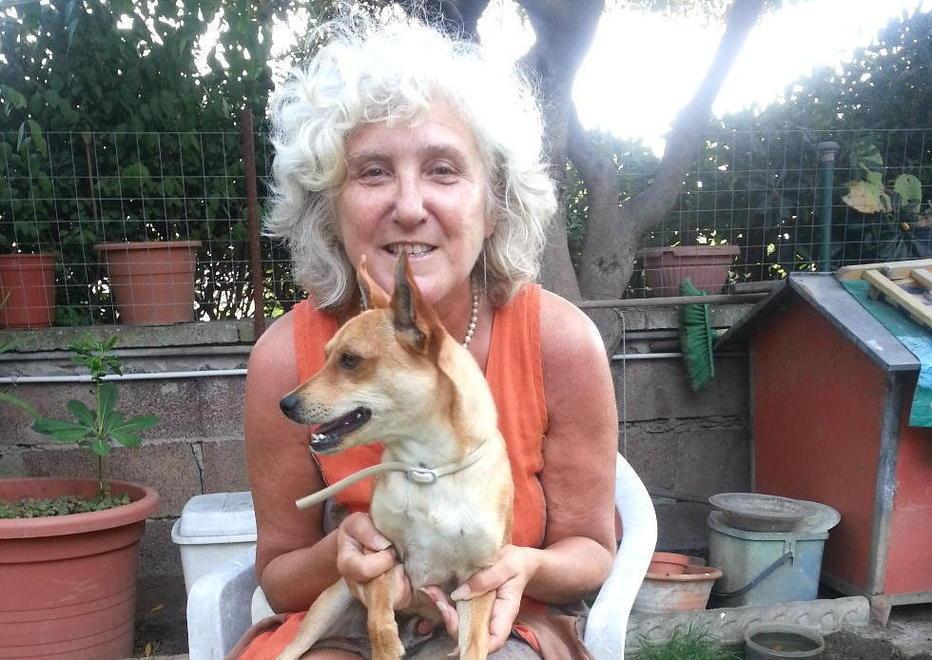 Eredità a sorpresa per l’associazione che cura i randagi