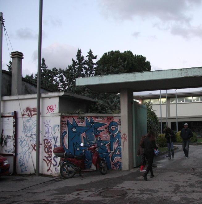 Cittadini-spazzini nella pineta vicina all’ex piscina