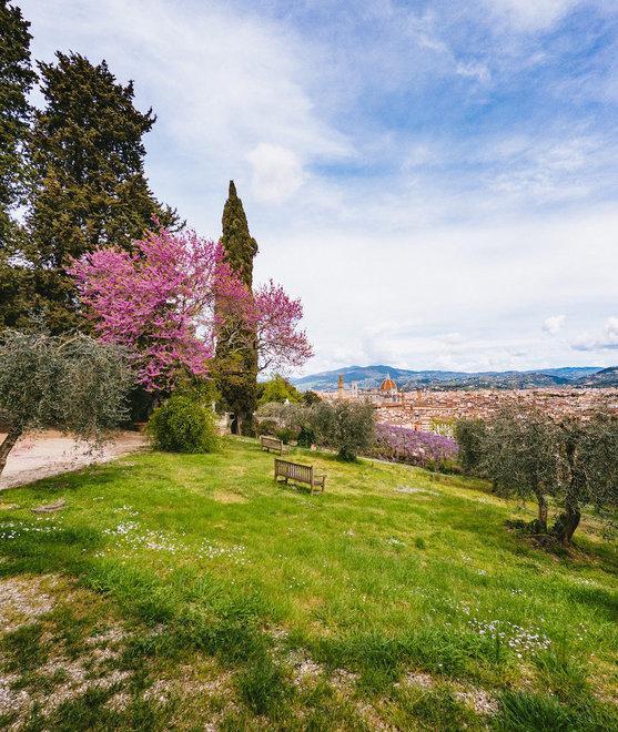 Riaperta anche villa Bardini Terrazza fiorita su Firenze