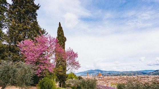 Riaperta anche villa Bardini Terrazza fiorita su Firenze