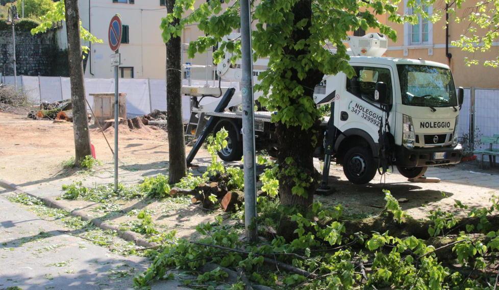 La tregua tra Comune e comitato cittadino è già messa in discussione 