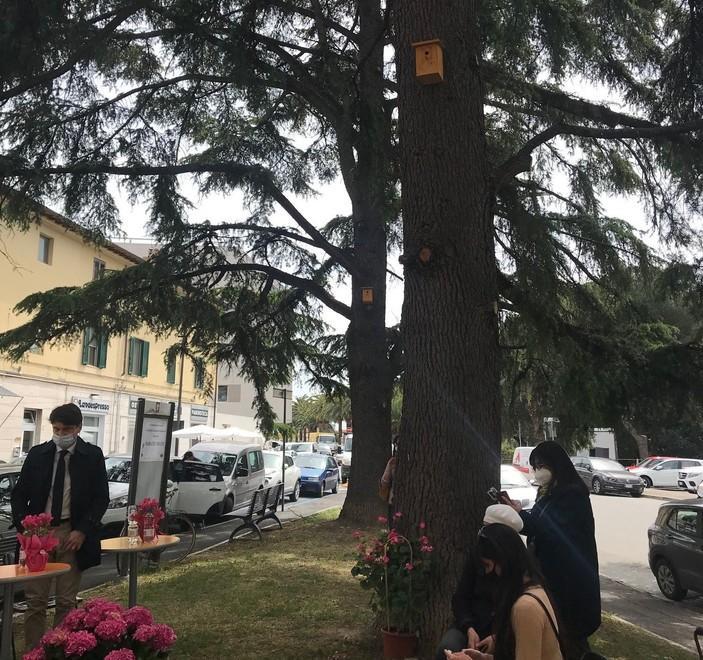 Un angolo verde recuperato e “presidiato” dalle cinciallegre