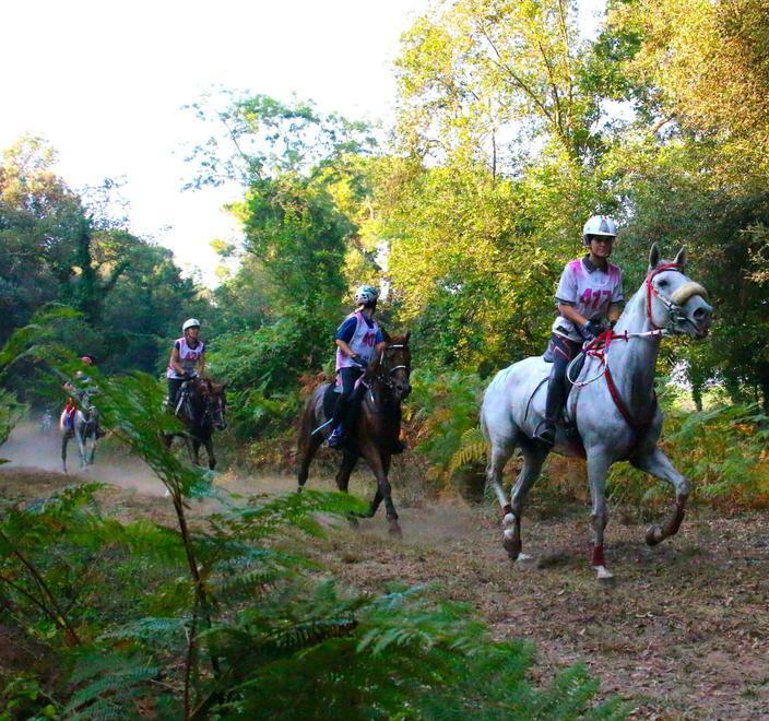 Verso il mondiale endurance Fei Al via da 35 nazioni, debutta l’Iraq 