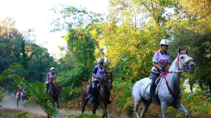 Verso il mondiale endurance Fei Al via da 35 nazioni, debutta l’Iraq