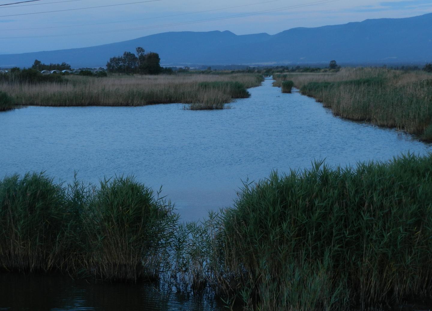Ambiente, convenzione Lipu-Forestas 