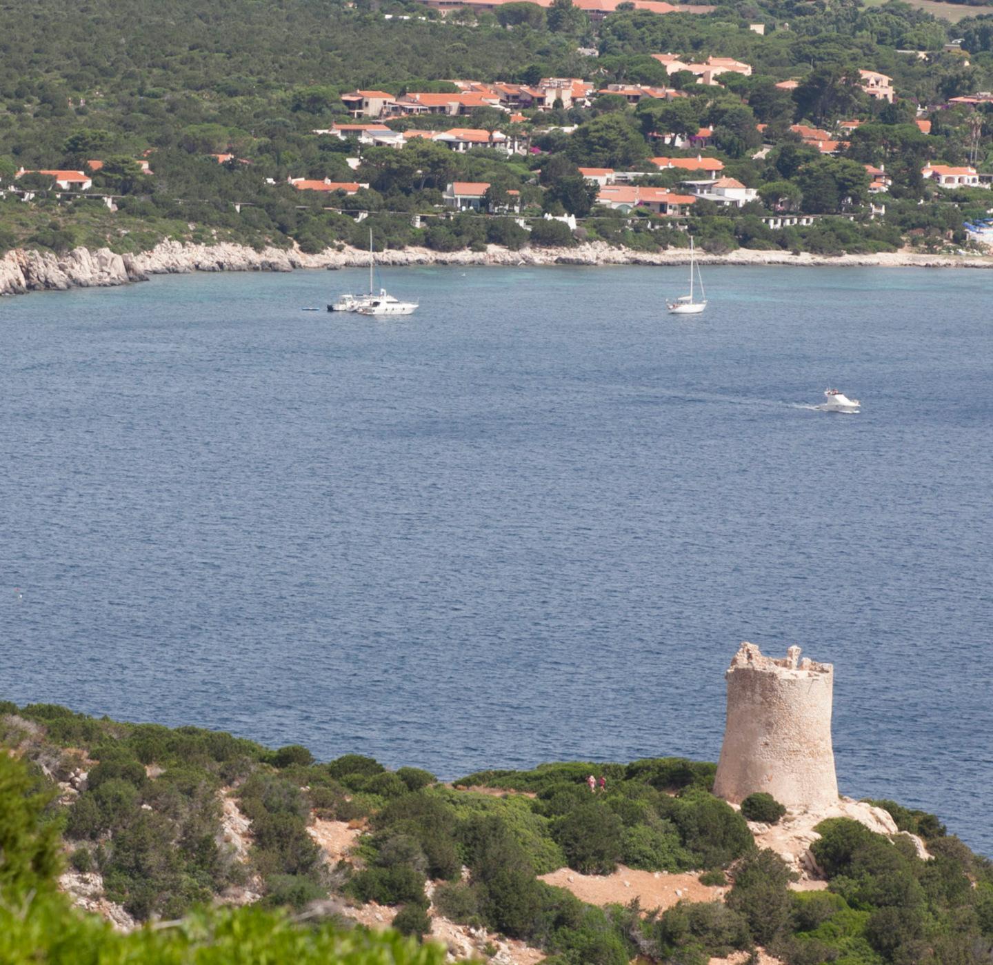 Gli uccelli marini di Capo Caccia 