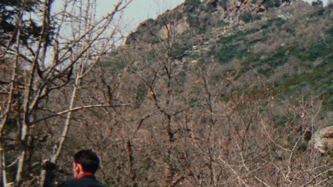 Le varietà del pero selvatico tutelate da volontari