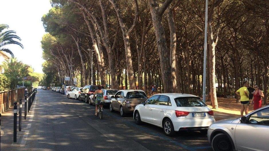 Gli stalli blu lungo viale Galliano che erano stati imbiancati la scorsa estate per l’operazione “Riparti Cecina” legata alla pandemia