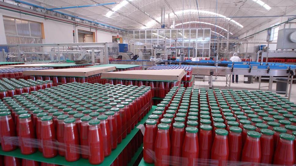 Petti: prima il sequestro, poi le polemiche. Vacilla il mito del pomodoro toscano