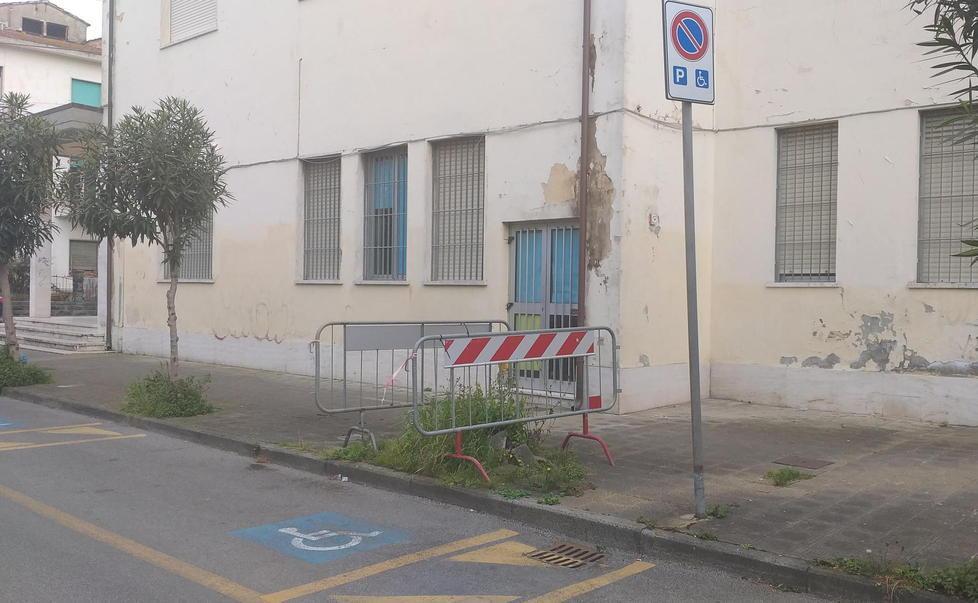 Transennata da mesi l’aiuola di un oleandro abbattuto in Darsena