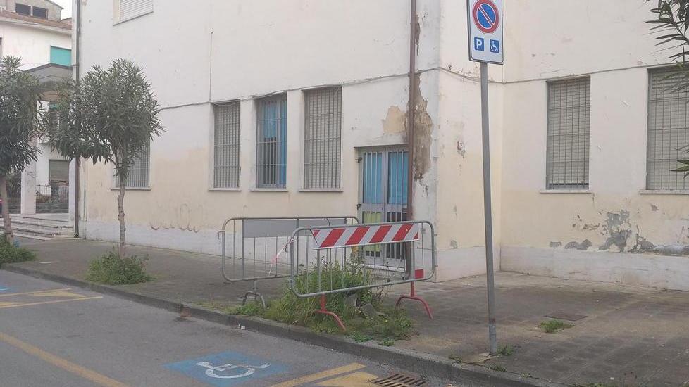 Transennata da mesi l’aiuola di un oleandro abbattuto in Darsena