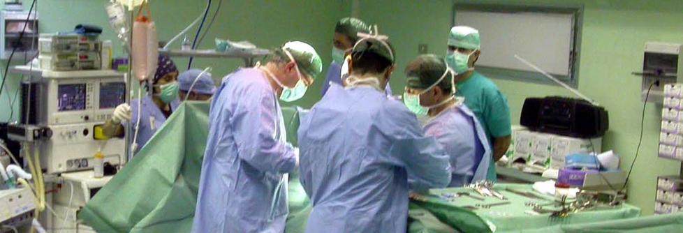 La grande generosità dei livornesi 106 donazioni di tessuti nel 2021 