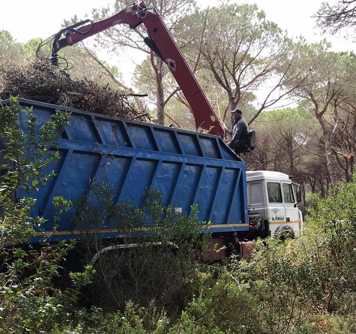 Conclusi i lavori per pulire la pineta di Fiumara «Rispettato l’ecosistema»