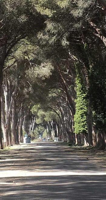Bici, carrozze e battello San Rossore torna a offrire le sue bellezze 