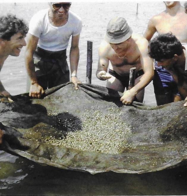 Fu un giovane e abile biologo a cambiare le sorti di Goro
