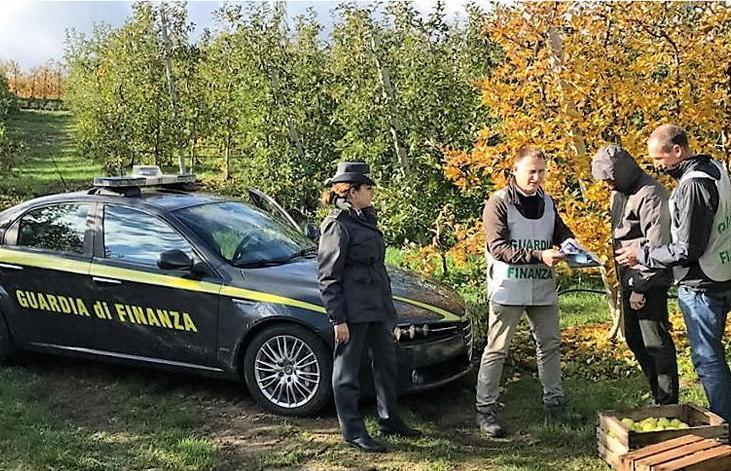 L'intervento della guardia di finanza