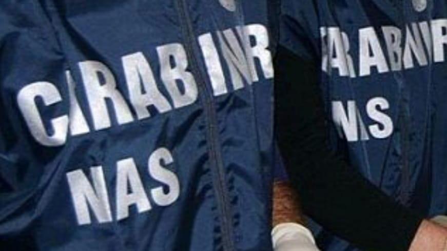 Trovano escrementi di topo, i carabinieri del Nas chiudono un salumificio