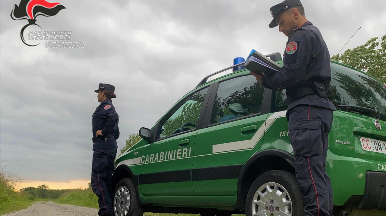 Una pattuglia di carabinieri forestali