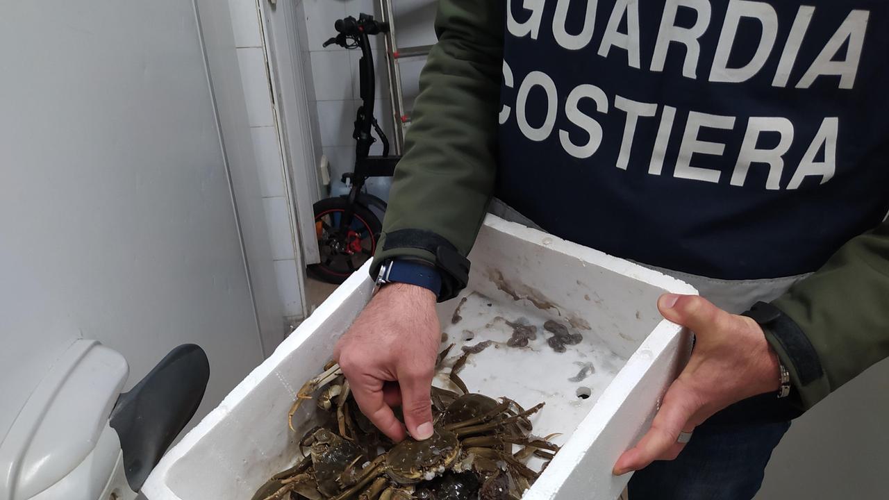 I granchi sequestrati nella pescheria cinese