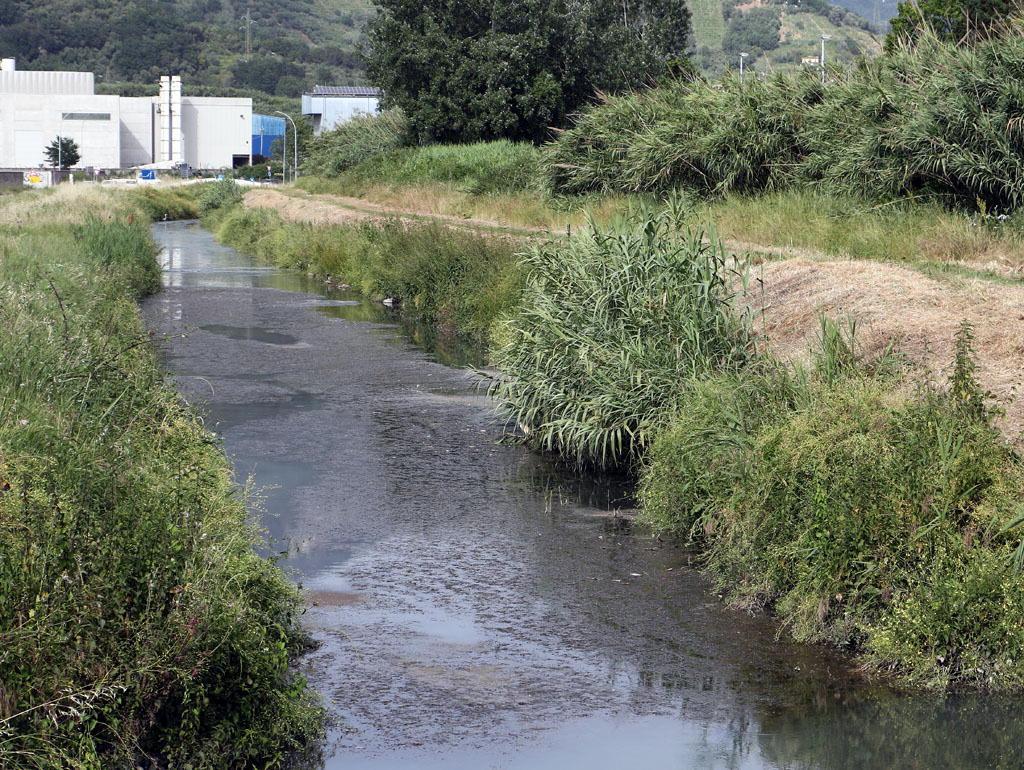Tornano i miasmi lungo il Lavello, ma questa volta si sente il gas 