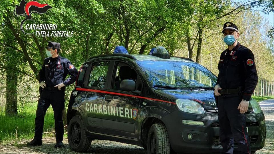 Reggio Emilia, un drone in volo per dare la caccia al maniaco del Crostolo