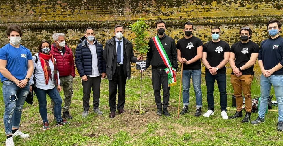 Una quercia per Sergio Ramelli