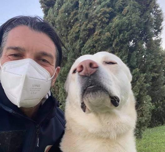 Il cane in una casa col Covid lo portano fuori i volontari Ma per loro niente vaccino 