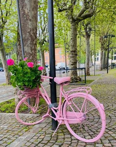Biciclette rosa e tanti fiori per accogliere il Giro d’Italia 