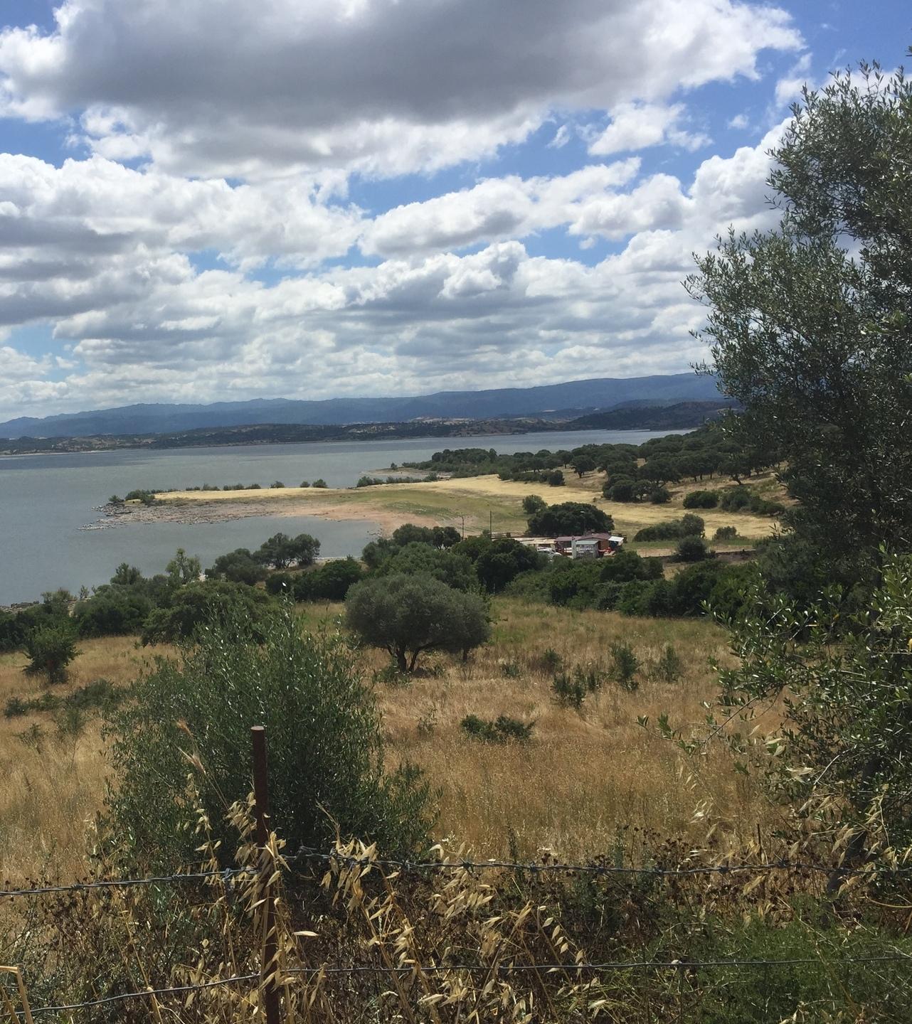 Ambiente: ultimo step per i piani di gestione 