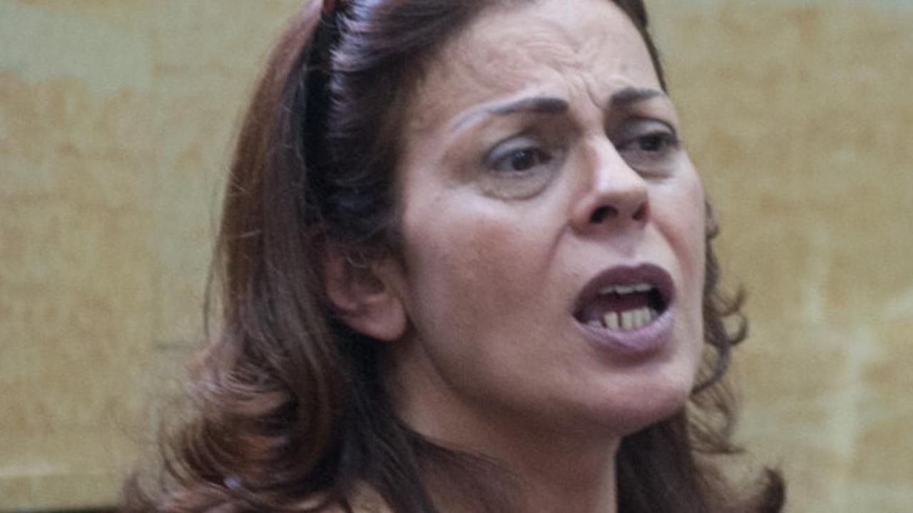 Insulti all’europarlamentare Moi: Ornella Piredda dovrà risarcire